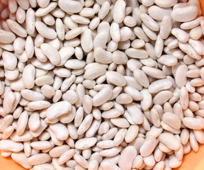 white kidney beans in a plastic bowl filled with water