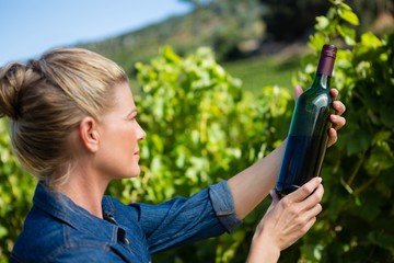 Female vintner examining wine