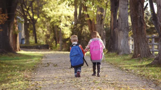 Little boy and girl holding hands and walking down fall lane