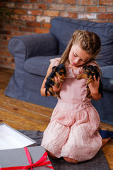 Little girl playing with yorkshire terrier puppies