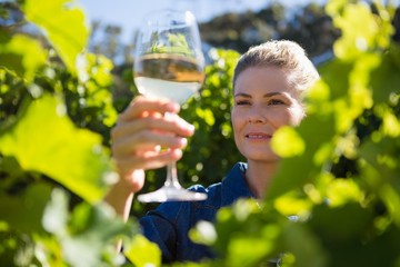 Female vintner examining glass of wine in vineyard