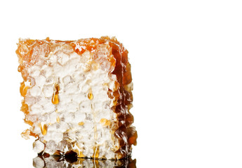Honeycomb close up isolated on the white background.