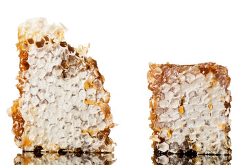 Honeycomb close up isolated on the white background.