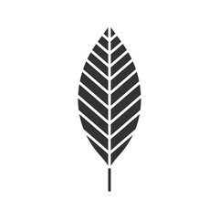 Walnut leaf  glyph icon