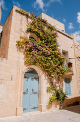 House covered in flowers in Mdina, Malta