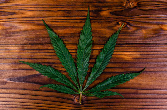 Leaf of the cannabis plant on wooden table. Top view