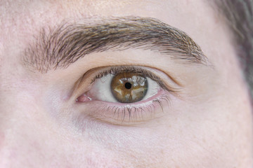 Obraz premium Close up picture of brown eyes from a young man
