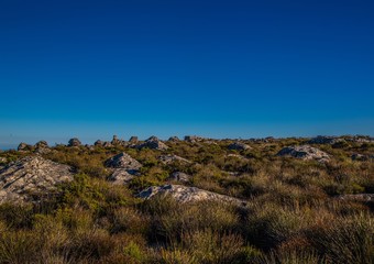 Landscape on top of the table mountain nature reserve in Cape Town at South Africa