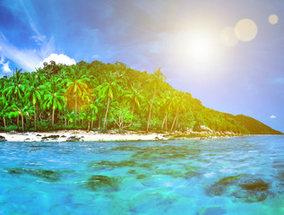 Panorama of tropical island with atoll in Indian Ocean. Uninhabited and wild subtropical isle with palm trees. Blue clear ocean water. Nature landscape. Travel background. Holiday and Vacation concept