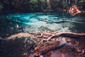 Sra Morakot Blue Pool at Krabi Province, Thailand. Clear emerald pond in tropical forest. The roots of trees with a beautiful lagoon in the rain-forest. Cross processed retro and vintage style toning
