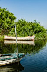 Fototapeta na wymiar Abandoned boat in river