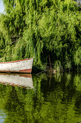 Abandoned boat in river