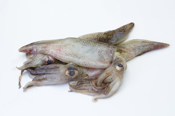 encornets