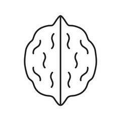 Walnut linear icon