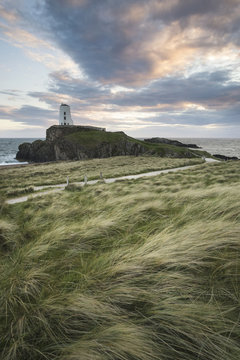 Landscape image of Twr Mawr lighthouse with windy grassy footpath in foreground at  sunset