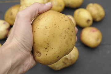 potatoes on a wooden table