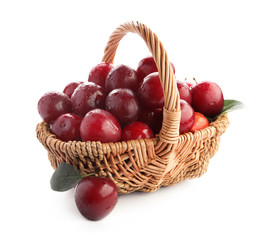 Ripe plums in basket on white background