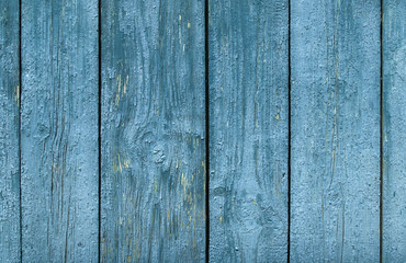 old wooden surface of the strips and planks from  peeling paint and cracked