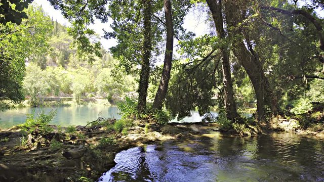 Paradise lakes inside forest 4K