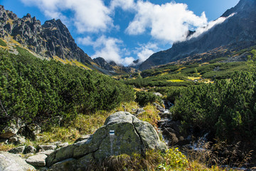 Bielovodska dolina - Tatra Mountains, Slovakia © grzegorz_pakula