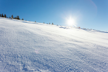beautiful winter landscape