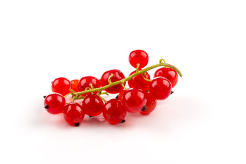 Red currant isolated