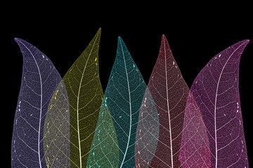 Obrazy na Szkle  Tekstura szczegółów suchego liścia