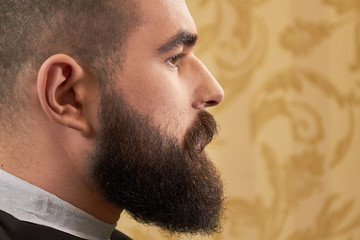Fototapeta premium Side view of bearded face. Caucasian guy with beard, macro. How to look more manly.