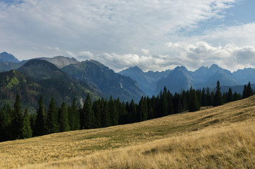 Mountain green valley stream landscape. autumn period