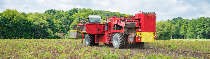 Obraz premium Moderner Kartoffelvollernter beim Roden von Kartoffeln, Banner