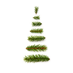 symbol Christmas tree from a fir branches on white background