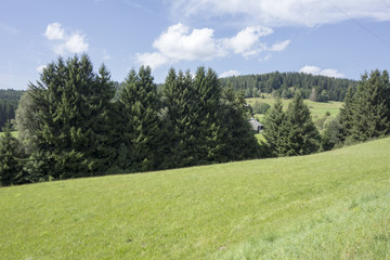 The Schluchsee lake in the German Black Forest