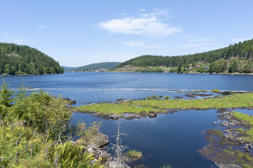 Naklejka premium The Schluchsee lake in the German Black Forest
