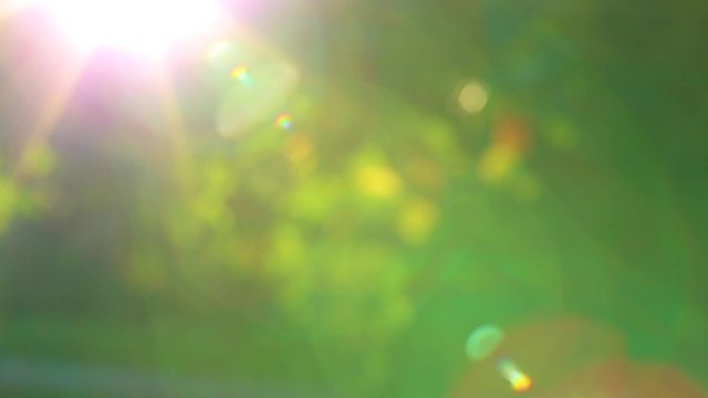 Beautiful colorful sunny natural background with bright sunshine. Blurry abstract charming vibrant green bokeh of out of focus shiny leaves in park or forest. Real time full hd video footage.
