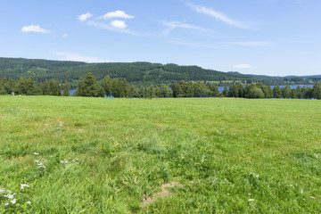 Fototapeta na wymiar The Schluchsee lake in the German Black Forest
