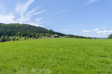 The Schluchsee lake in the German Black Forest