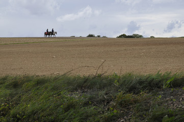 Obraz premium zwei reiter auf dem feld