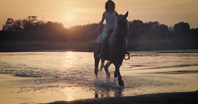 Slow motion shot. Woman riding horse on the background of beautiful sunset and water. Girl model on horseback on river water at sunset, backlit with sunshine.