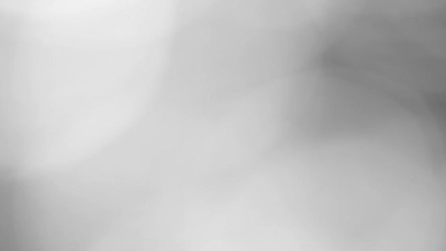 Beautiful black and white background. Blurry natural bokeh of out of focus leaves at sunny sky. Real time full hd video footage.