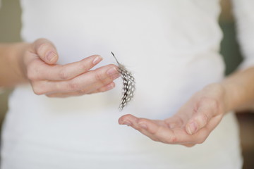 Woman's hands with plume