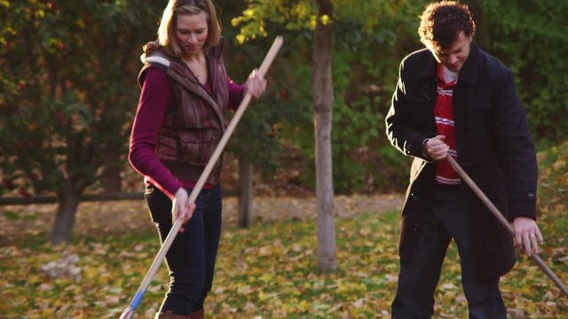 Couple raking leaves together and smiling