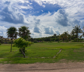 Sunny day on the plains