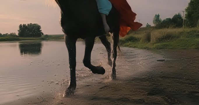  model, horse, mammal, spring, stallion, equine, summer, freedom, lake, beach, riding, woman, free, blue, beauty, equestrian, sea, beautiful, running, water, wild, nature, happy, animal, landscape, ri
