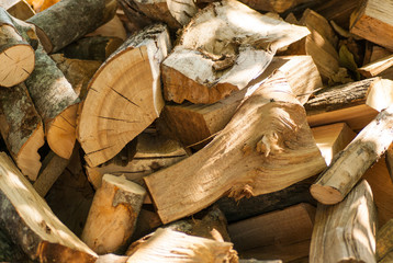chopped wood logs heap to be stored for winter
