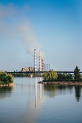 Naklejka premium Plant on the river