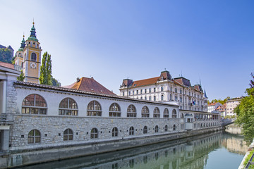 Obraz premium Ljubljana river Ljubljanica