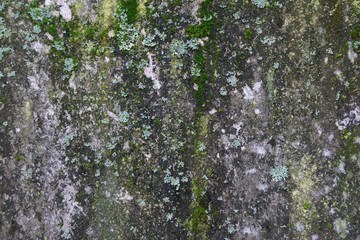hintergrund steinmauer mit k&ouml;rnung und feinen strukturen