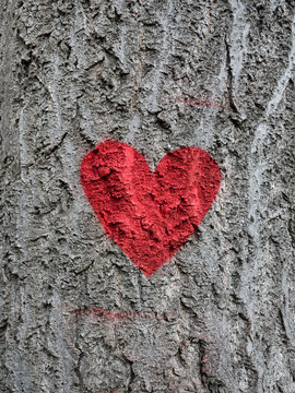 Close-up of red heart painted on a tree trunk