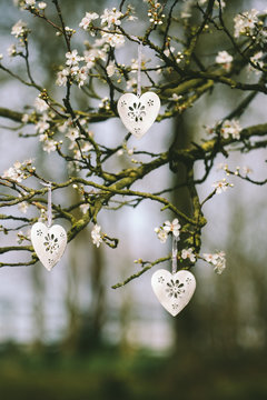 White metal heart decorations hanging in a blossom ree