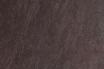 High resolution texture. Background. Skin.